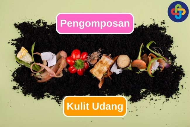 Cara Membuat Kompos dari Kulit Udang untuk Kebun yang Lebih Hijau